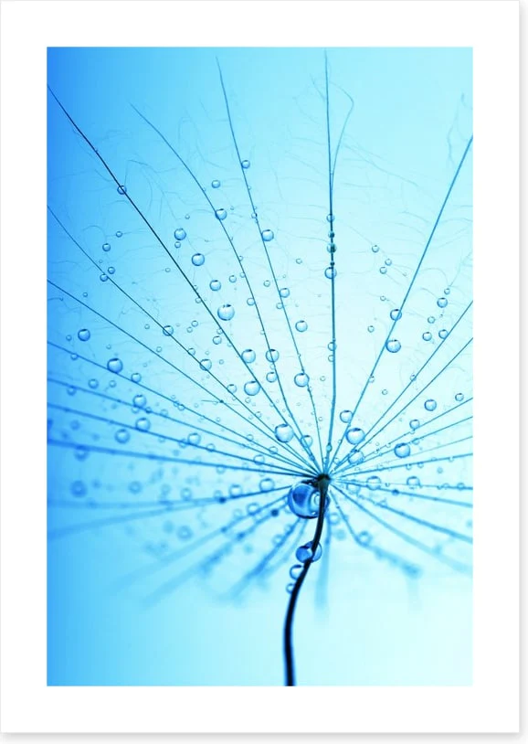 Droplets - Image 2