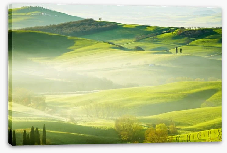 Early morning mist - Image 2