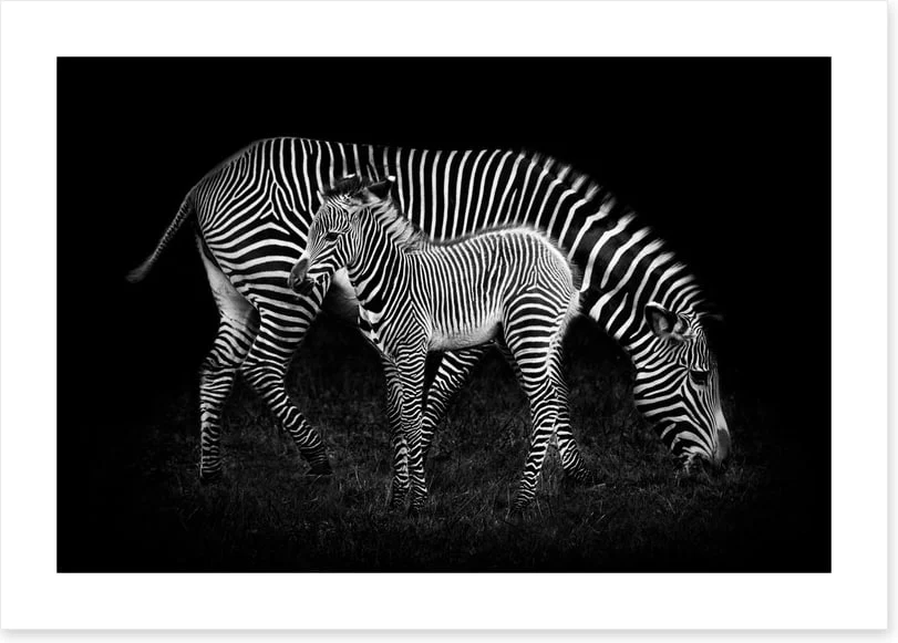 Earning your stripes - Image 2