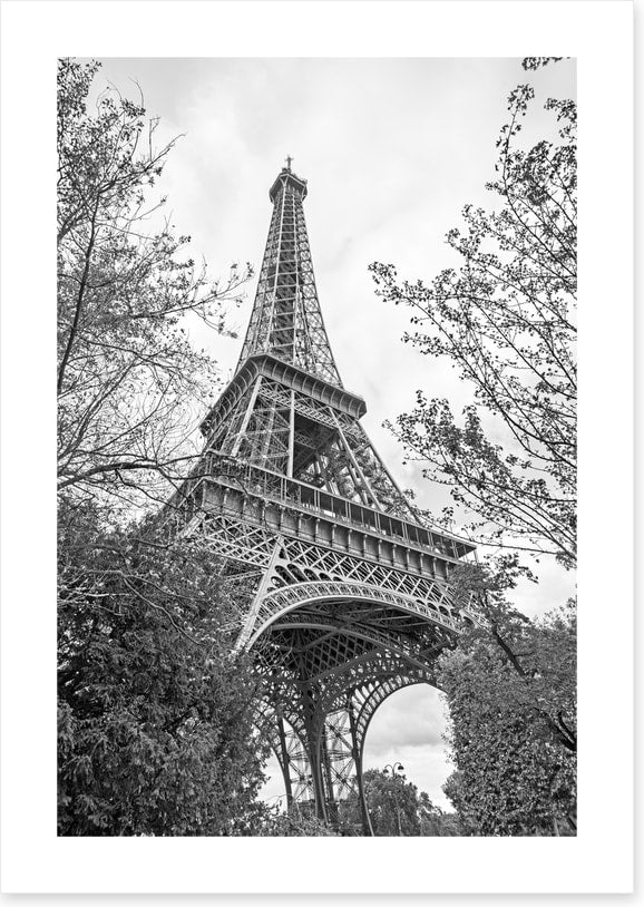 Eiffel Tower trees - Image 2