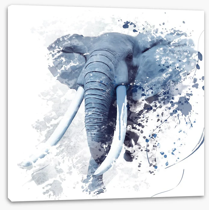 Elephant run - Image 2