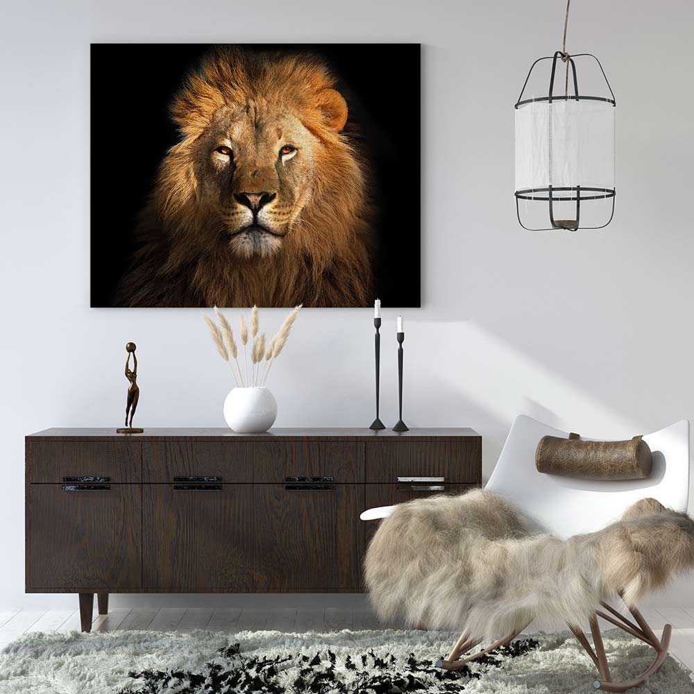 Eye of the lion - Image 3