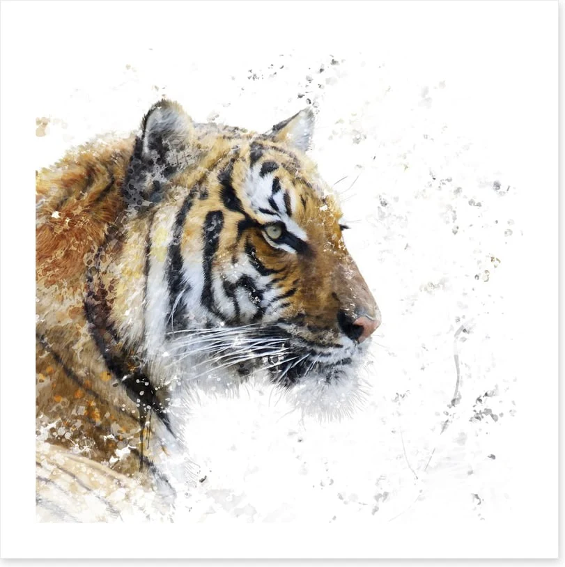 Eye of the tiger - Image 2