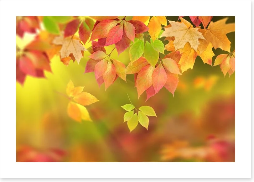 Fall - Image 2