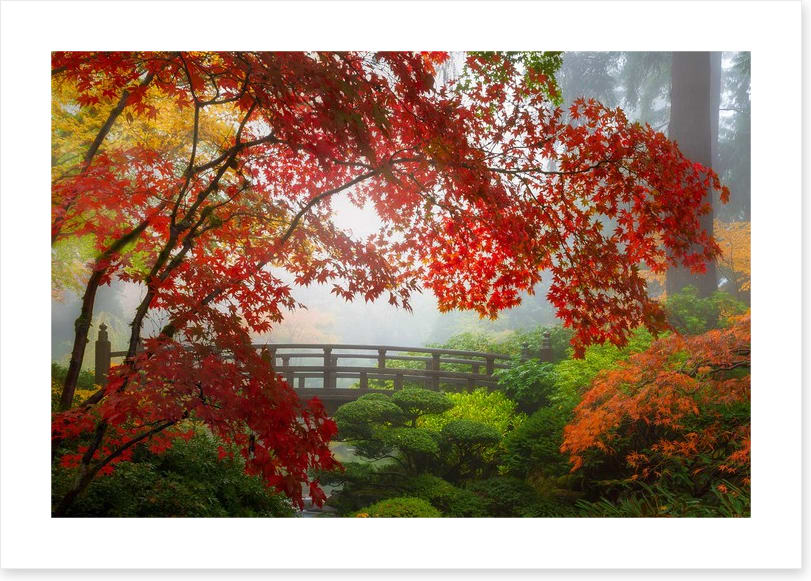 Fall at the Moon Bridge - Image 2