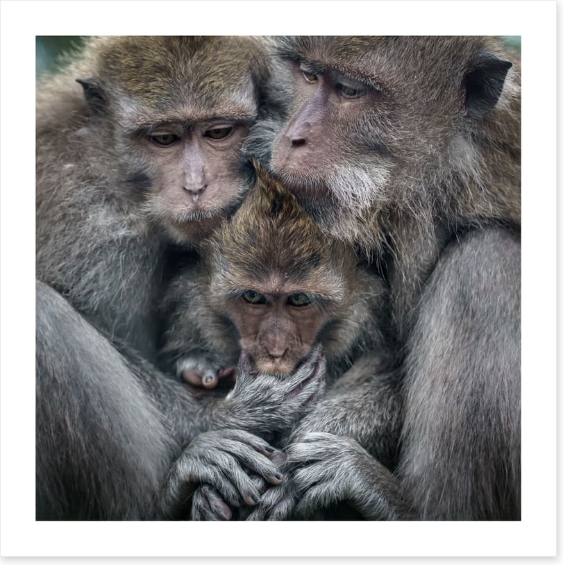 Family hug - Image 2
