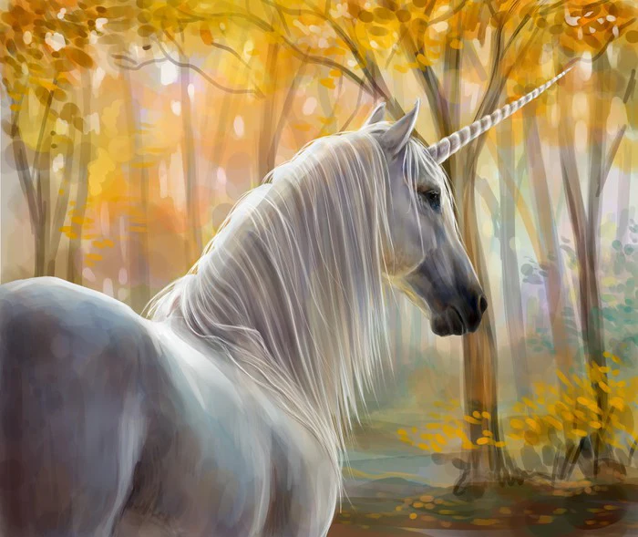 Fantasy