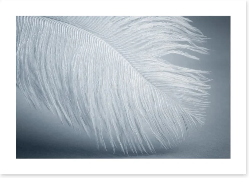 Feather soft - Image 2