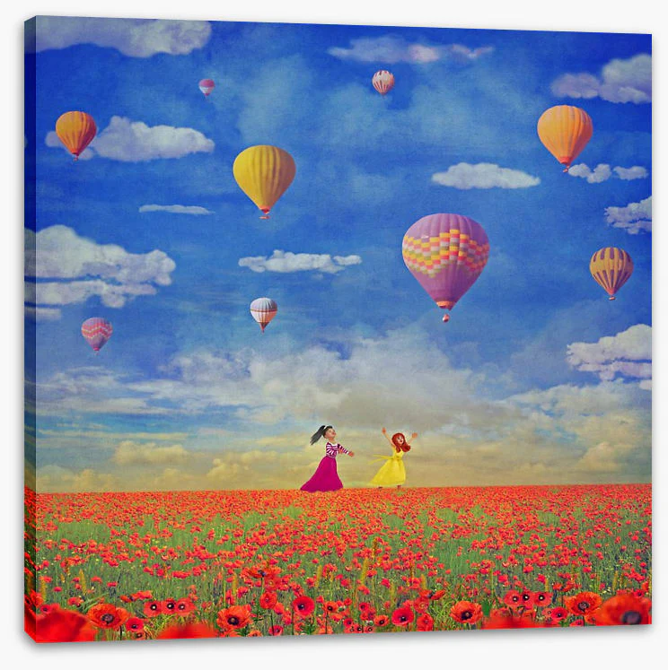 Field of friendship - Image 2