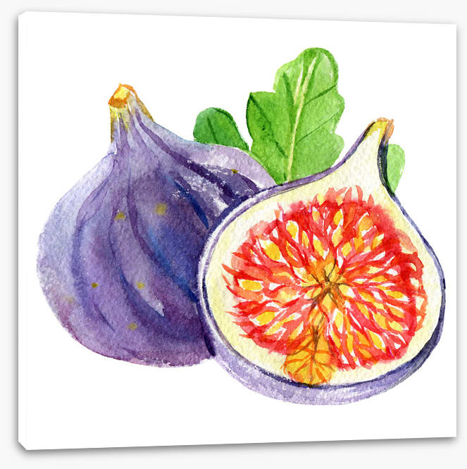 Fig and a half - Image 2