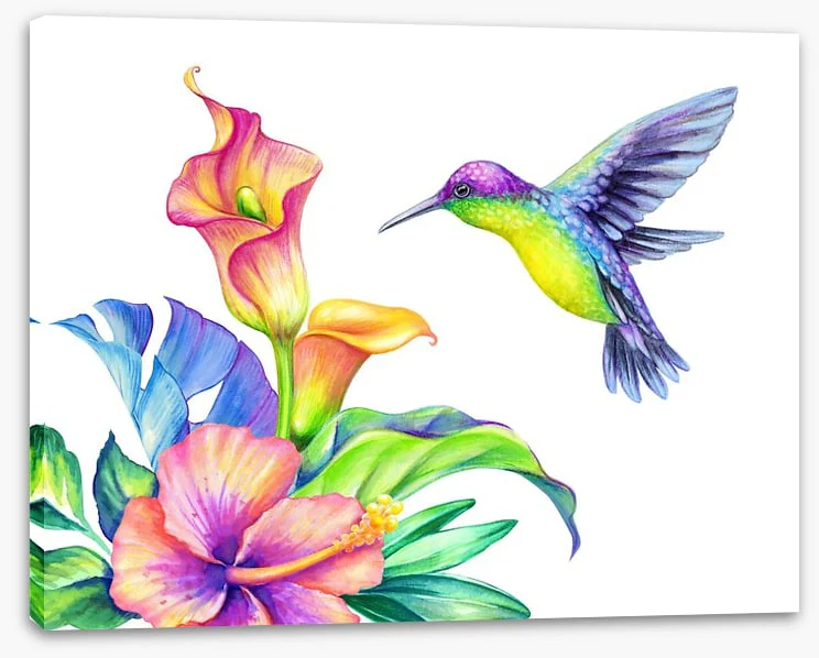 Flight of fancy - Image 2