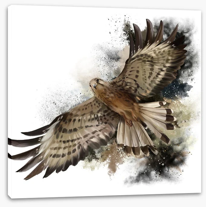 Flight of the falcon - Image 2
