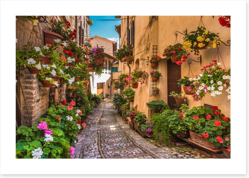 Floral alley in Umbria, Italy - Image 2
