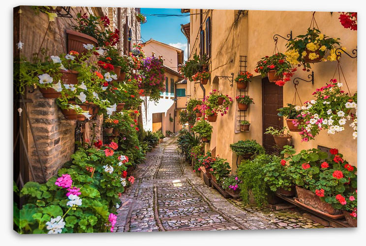 Floral alley in Umbria, Italy - Image 2