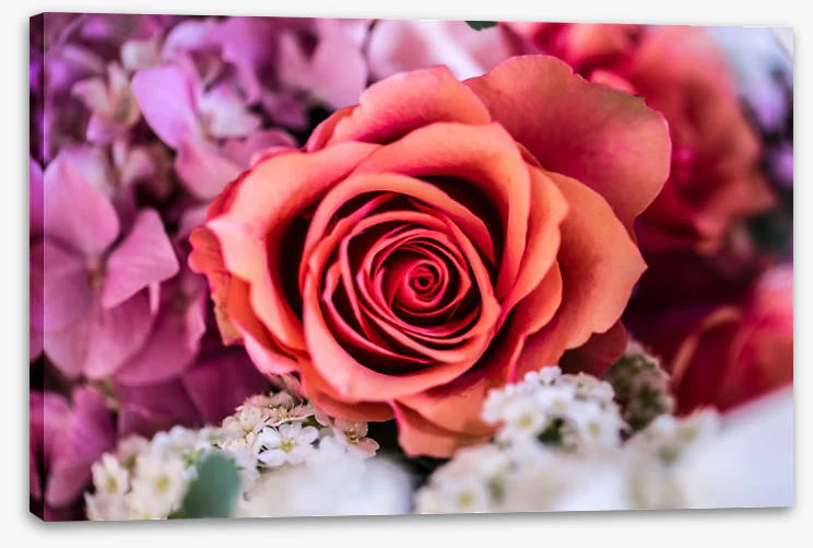 A rose among thorns - Image 2