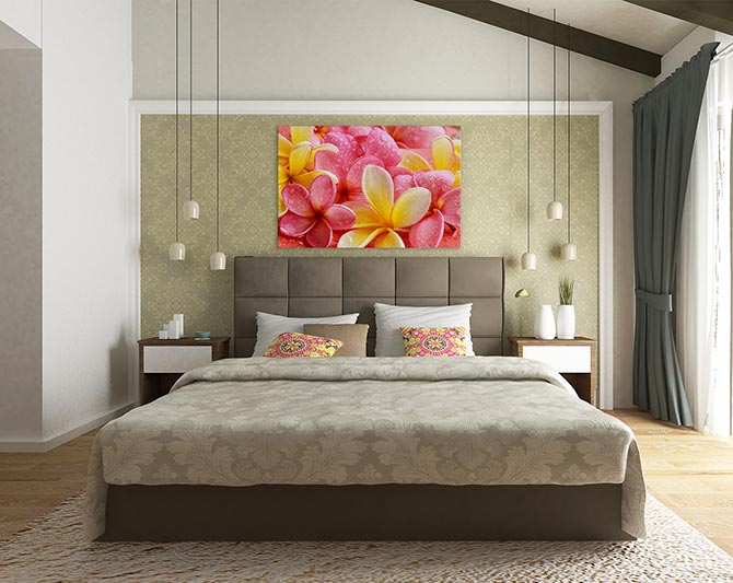 Frangipani flowers - Image 3