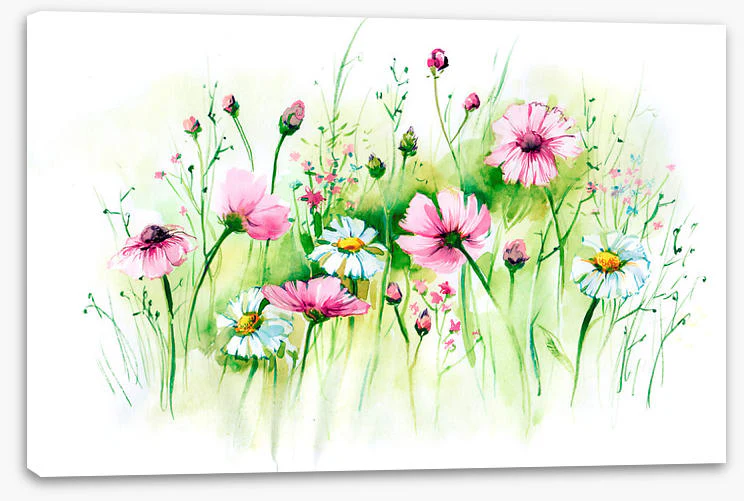 In the daisy grass - Image 2