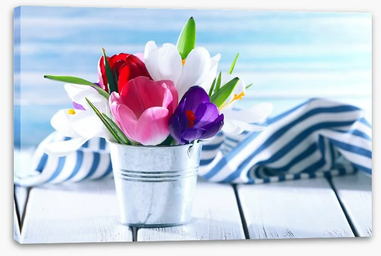 In the spring sun - Image 2