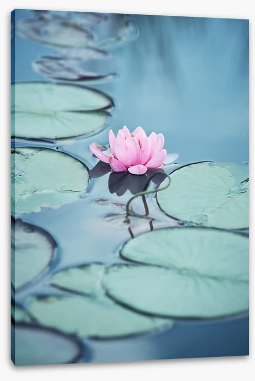 Lonesome lily - Image 2