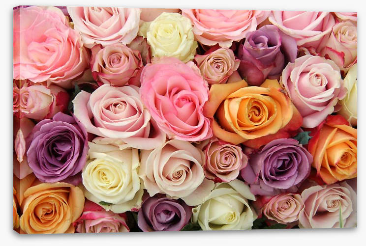 Mixed pastel roses - Image 2