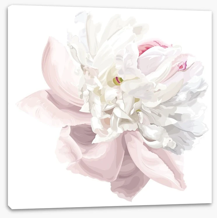 Pink white peony - Image 2