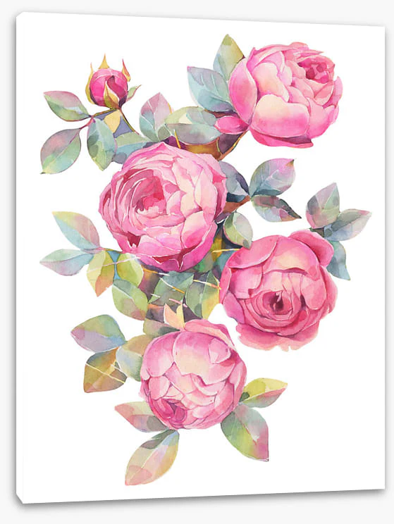 Pretty as a rose - Image 2