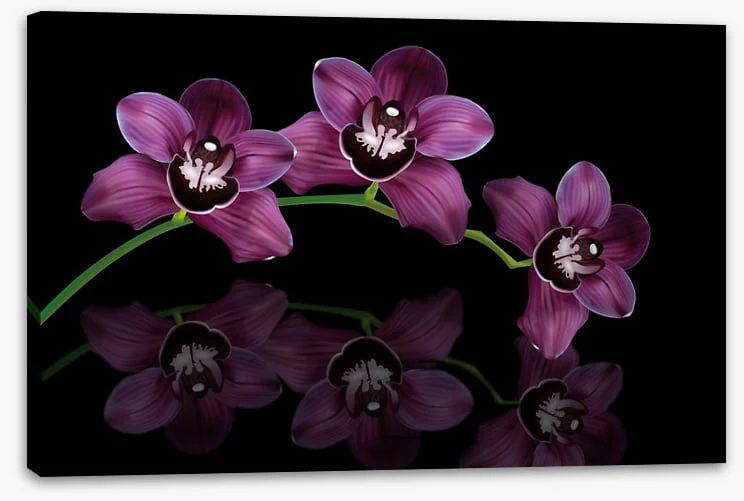 Purple orchid arc - Image 2