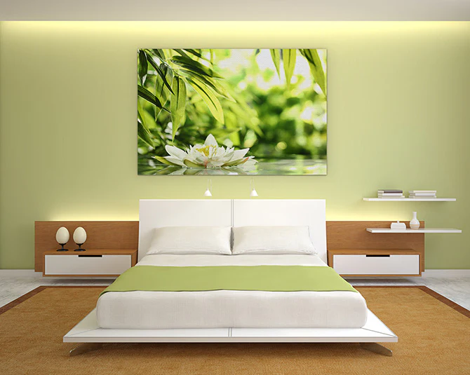 Water lily adrift - Image 3