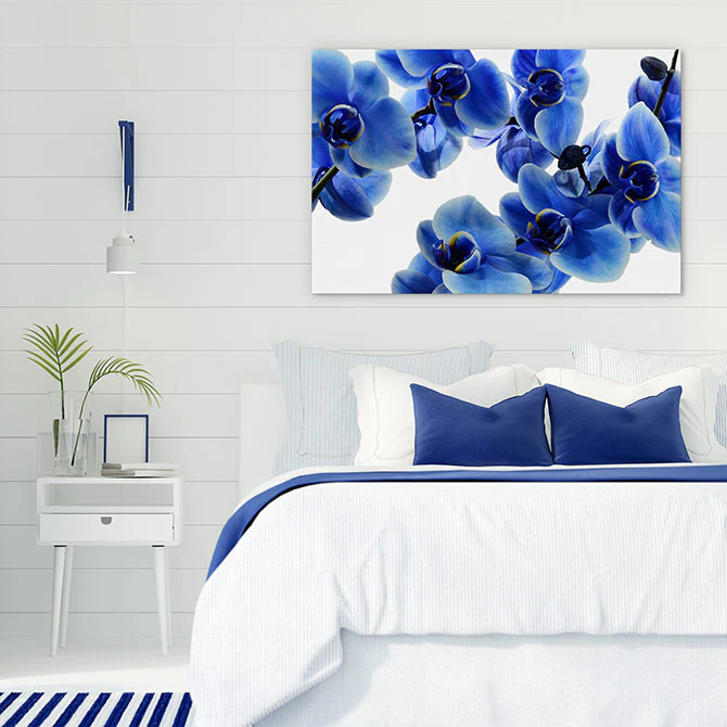 Orchid blue - Image 3