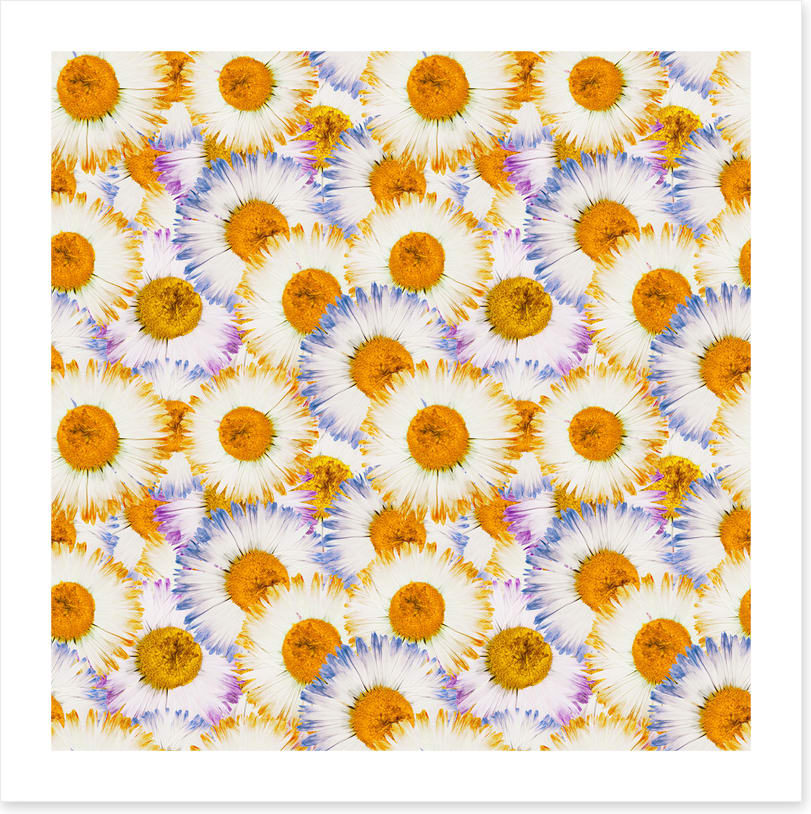Flowers - Image 2