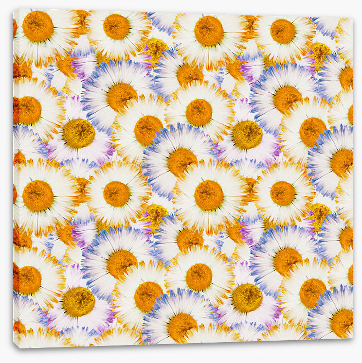 Flowers - Image 2