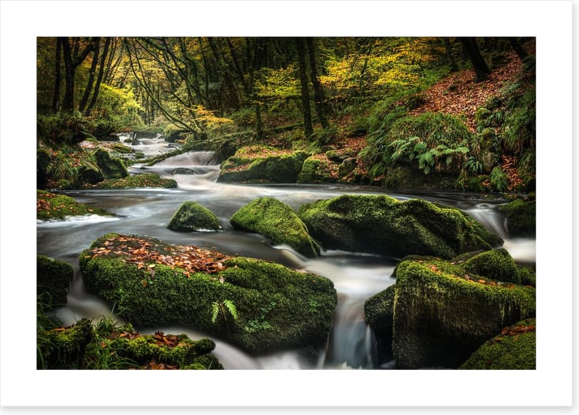 Flowing through fall - Image 2