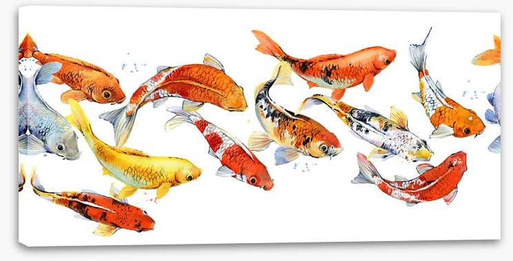 Follow the goldfish - Image 2