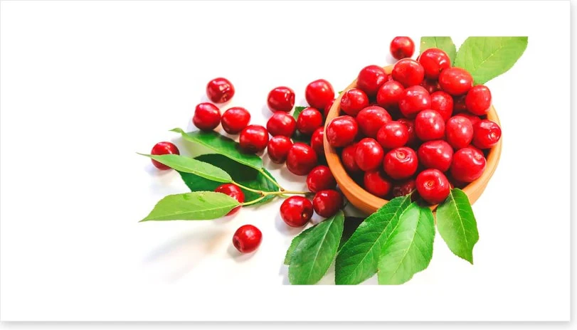 Food - Image 2