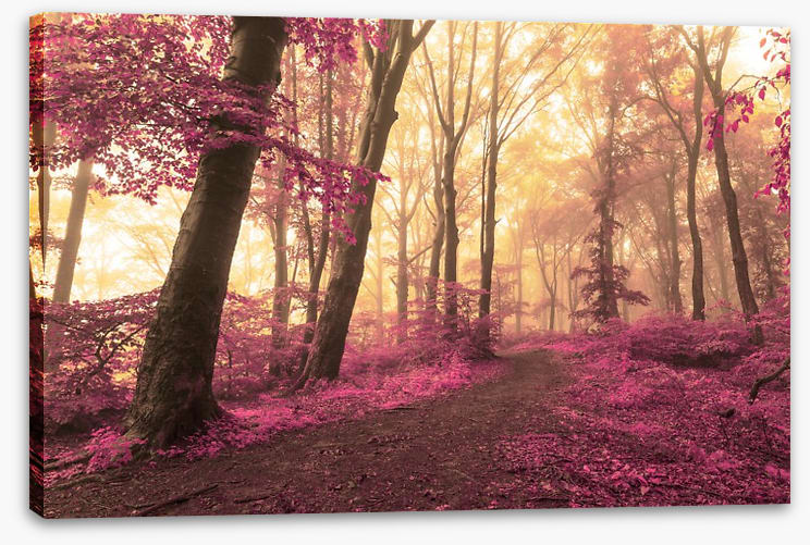 Forest blush - Image 2