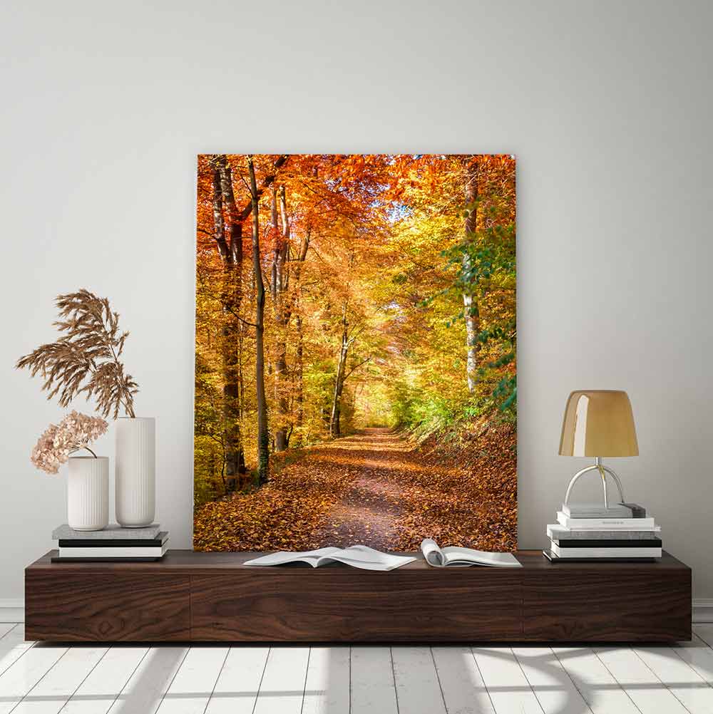 Fall light falling - Image 3