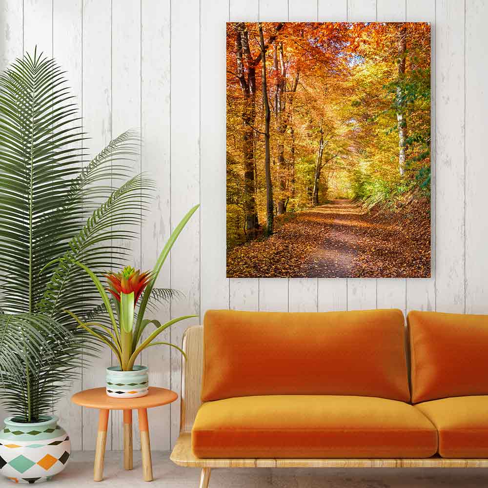 Fall light falling - Image 4