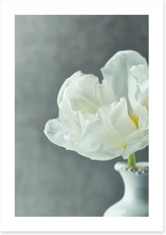 Fragile simplicity - Image 2