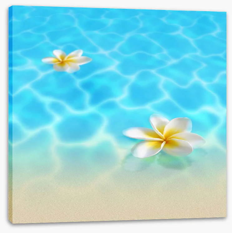 Frangipani beach - Image 2