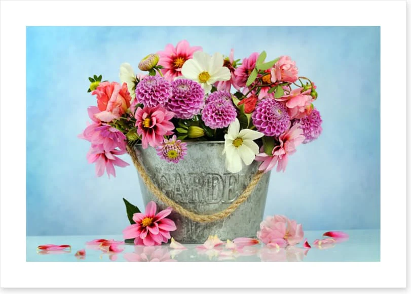 Freshly picked - Image 2
