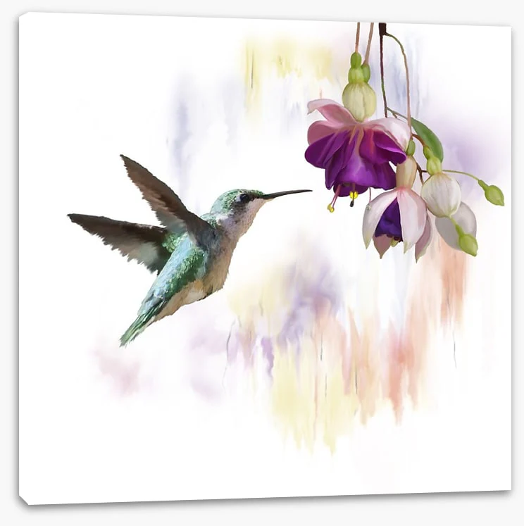 Fuchsia and flight - Image 2