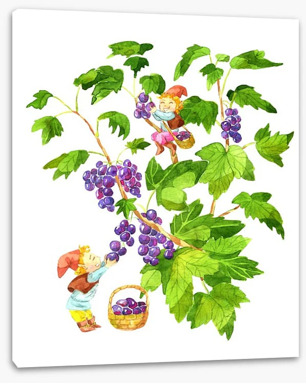 Fun Gardens - Image 2