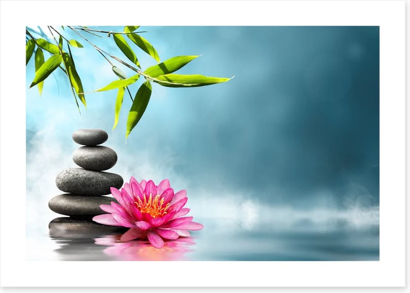 Garden of harmony - Image 2