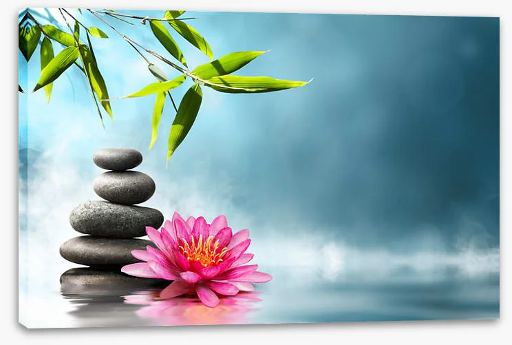 Garden of harmony - Image 2