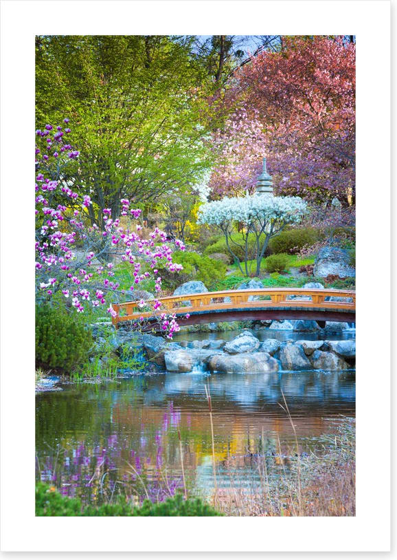 Garden of zen - Image 2