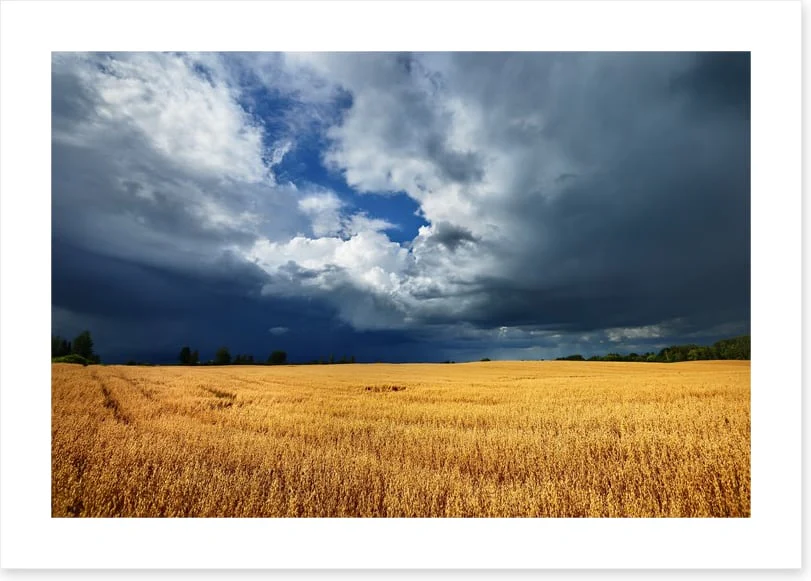 Gathering clouds - Image 2