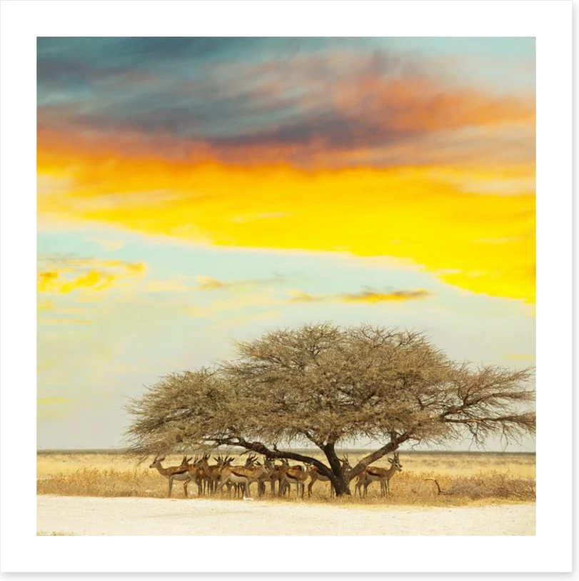 Gazelle gathering - Image 2