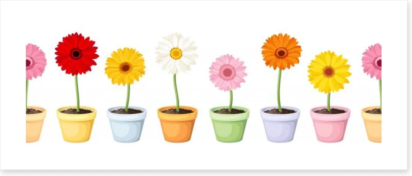 Gerbera pots - Image 2