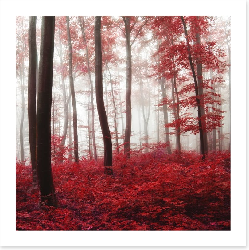 Glowing Autumn forest - Image 2