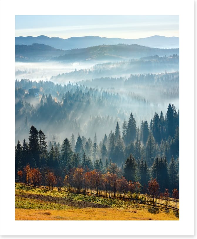 Golden foothills - Image 2